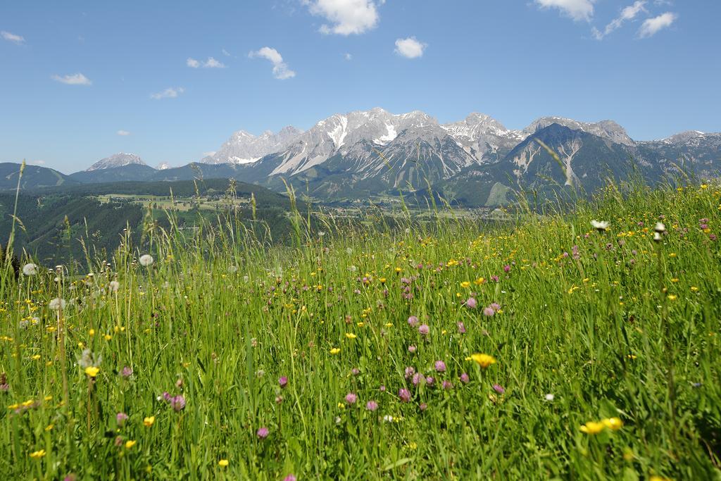 Chalet Alm Planai Шладминг Экстерьер фото